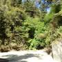 Nouvelle-Zélande - Abel Tasman national Park