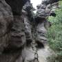 Australie - En route vers le point de vue des Pinnacles