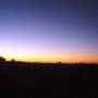 Argentine - 