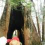 Australie - Giant Poupette