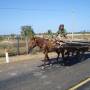 Cambodge - Sur la route de Kompong Thom