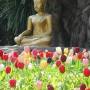Thaïlande - 