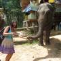 Thaïlande - Marrant de leur donner à manger!!!