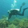 Philippines - Laurent le dive master au volant