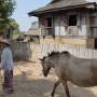 Birmanie - Inwa