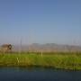 Birmanie - Lac Inle 