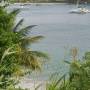 Saint-Vincent-et-les-Grenadines - 