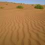 Oman - 