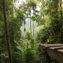 Laos - Gibbon Experience