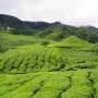 Malaisie - 