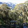 Nouvelle-Zélande - Routeburn Track: Mackenzie Lake camps