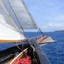 Saint-Vincent-et-les-Grenadines - 