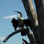 Australie - Kakadu national park