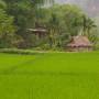 Viêt Nam - 