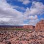 Argentine - 