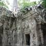 Thaïlande - Angkor, le Ta Prohm, temple de Lara Croft... Ici, la végétation est restée très présente et nous découvrons un temple où pierres et végétations sont enchevêtrés.