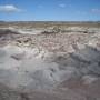 Argentine - 