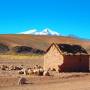 Bolivie - 