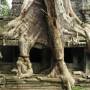 Cambodge - 