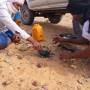 Mauritanie - 