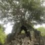 Cambodge - Beng Mealea