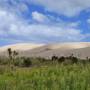 Nouvelle-Zélande - Dunes de Te Paki - Dunas de Te Paki