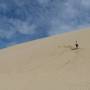 Nouvelle-Zélande - Dunes de Te Paki - Dunas de Te Paki