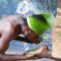 Vanuatu - Comment marcher sur des braises sans se brûler