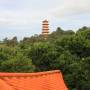 Australie - Le plus gros temple boudhiste en Australie