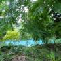 Vanuatu - Blue hole sur l