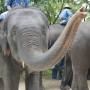 Thaïlande - 