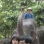 Thaïlande - elephant conservation center- Chiang Mai