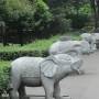 Chine - 