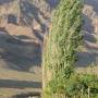 Iran - Oasis.