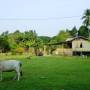 Singapour - Les Kampungs malaisiens, des villages traditionnels malaisiens