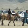 Mongolie - 