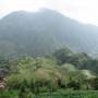 Chine - Les rizieres en terrasse