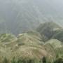 Chine - Les rizieres en terrasse