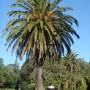 Australie - 