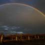 Australie - Arc en Ciel sur les vignes 