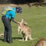 Australie - 