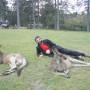 Australie - 