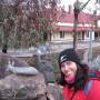 Australie - 