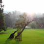 Inde - 