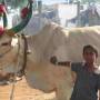 Inde - 