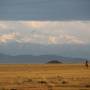 Kazakhstan - Soleil couchant prêt de Kegen. Au loin le Kirghizstan. Des montagnes à plus de 4 000m.