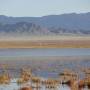 Mongolie - Les rives Sud du lac ... aucune piste sur ma carte ... mais un grand raccourci que je vais tenter..