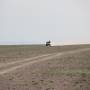 Mongolie - Une piste très roulante : 80 km/h