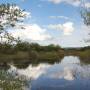 Mongolie - Bords de fleuve .. des milliards de moustiques!