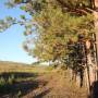 Russie - Retour en Russie. Beaux paysages de collines, de forêts et de prairies ...